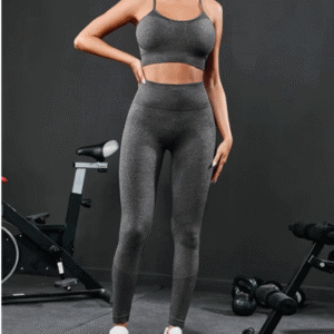 2 Pieces Seamless Workout Set