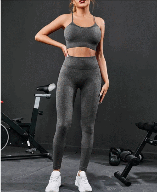 2 Pieces Seamless Workout Set